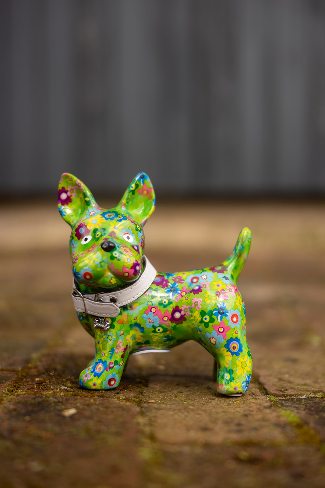 Pomme Pidou- Bulldogge Jack